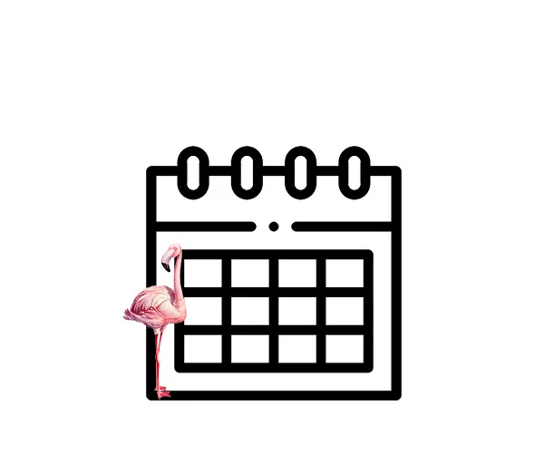 Piktogramm eines Kalenders. Vor der dem kalender steht der kleine pinke Flamingo seitlich mit dem Kopf zu Betrachter geneigt.